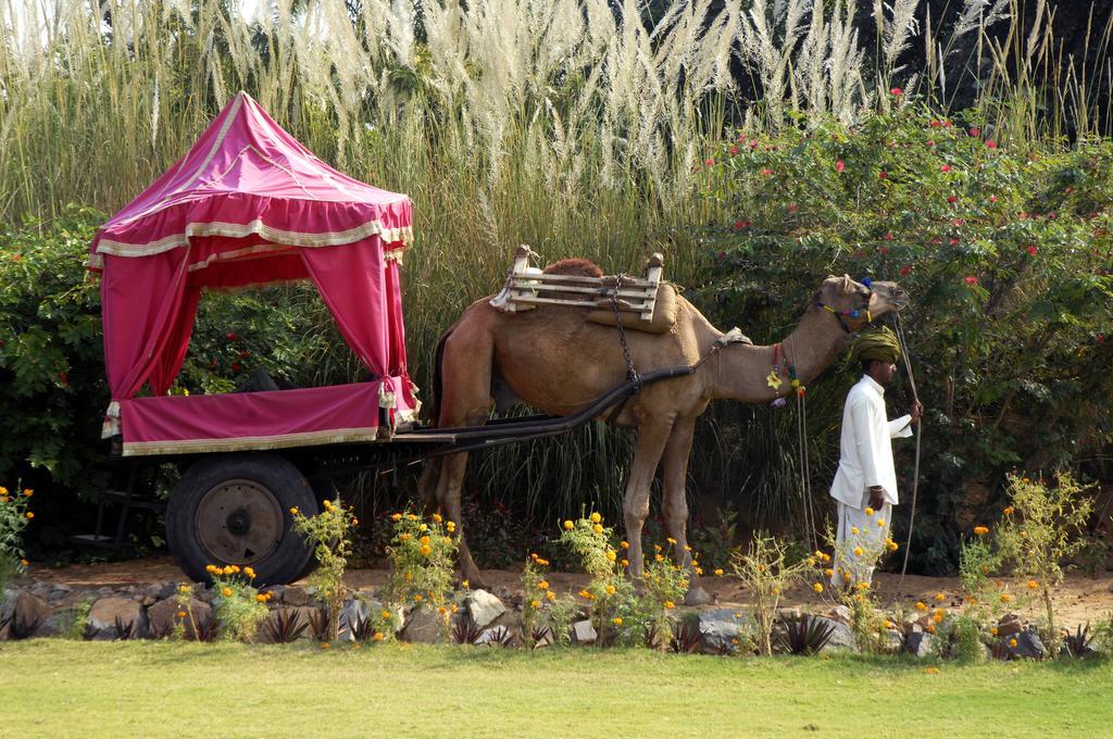 Pushkar Resort Exteriér fotografie