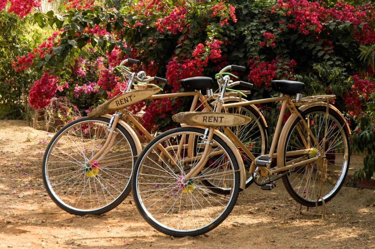 Pushkar Resort Exteriér fotografie