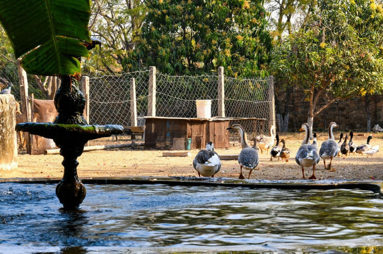 Pushkar Resort Exteriér fotografie